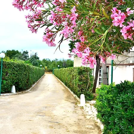 Sul Mare *